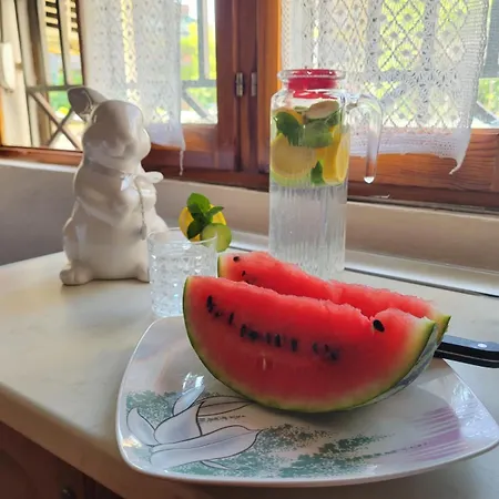 בית הארחה Koltrina