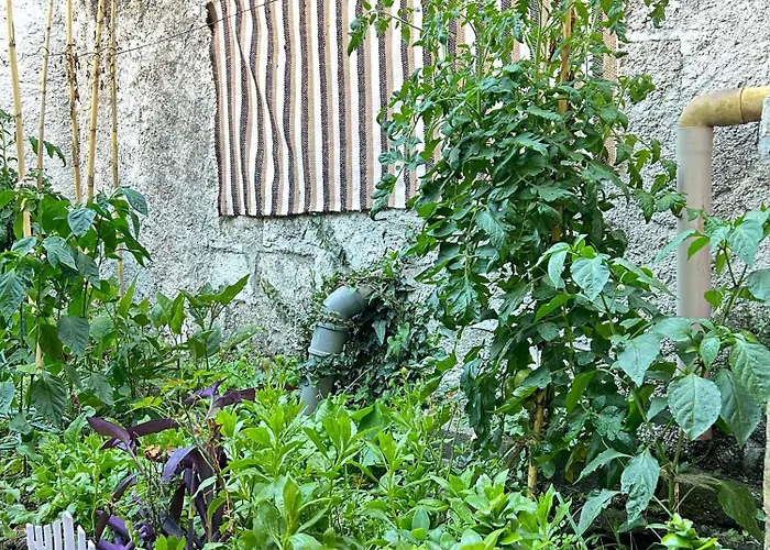 Koltrina 게스트하우스 3*